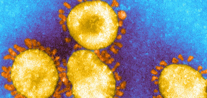 What to know about symptoms of the new COVID variant, booster restrictions